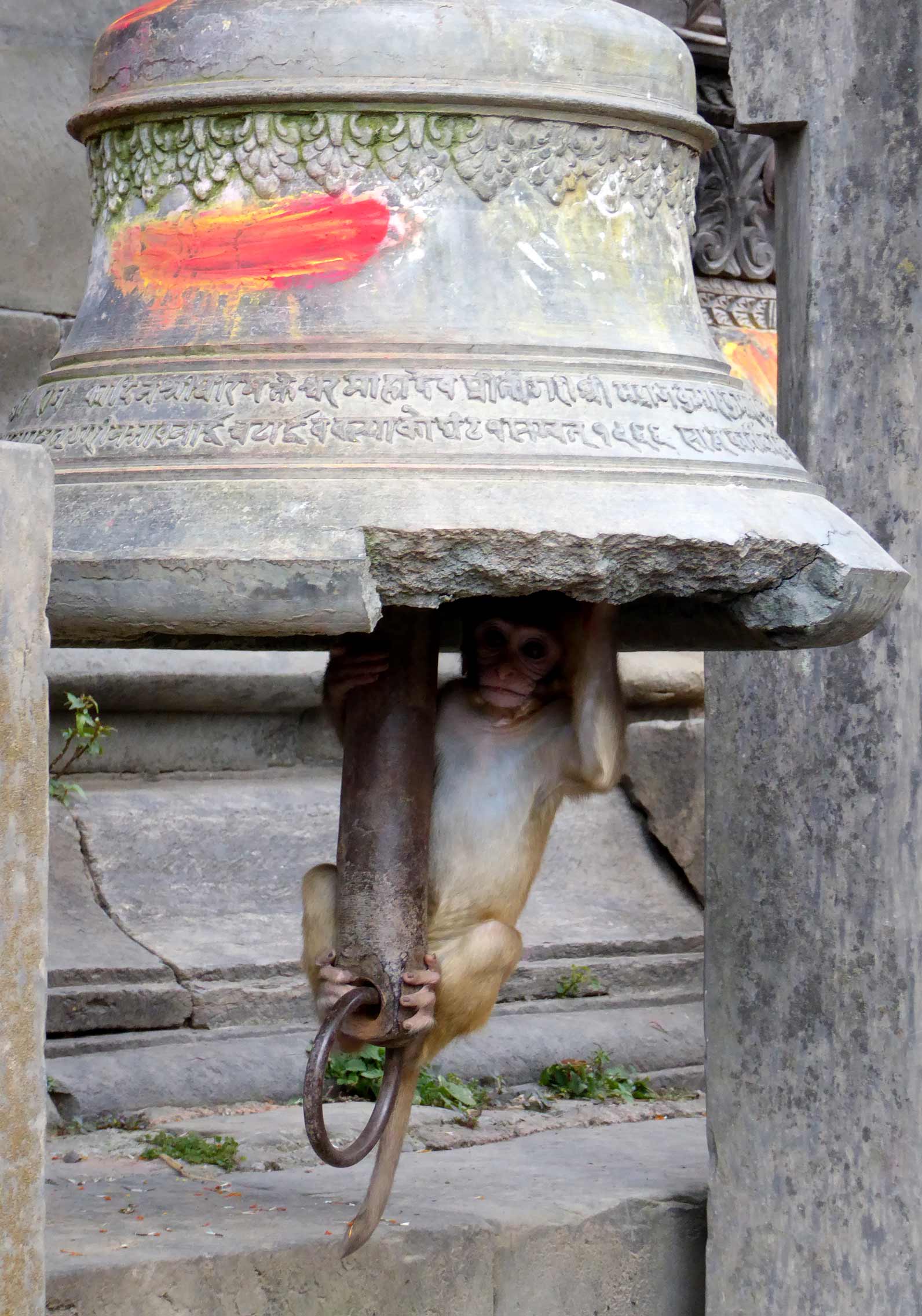 Nepal Bell